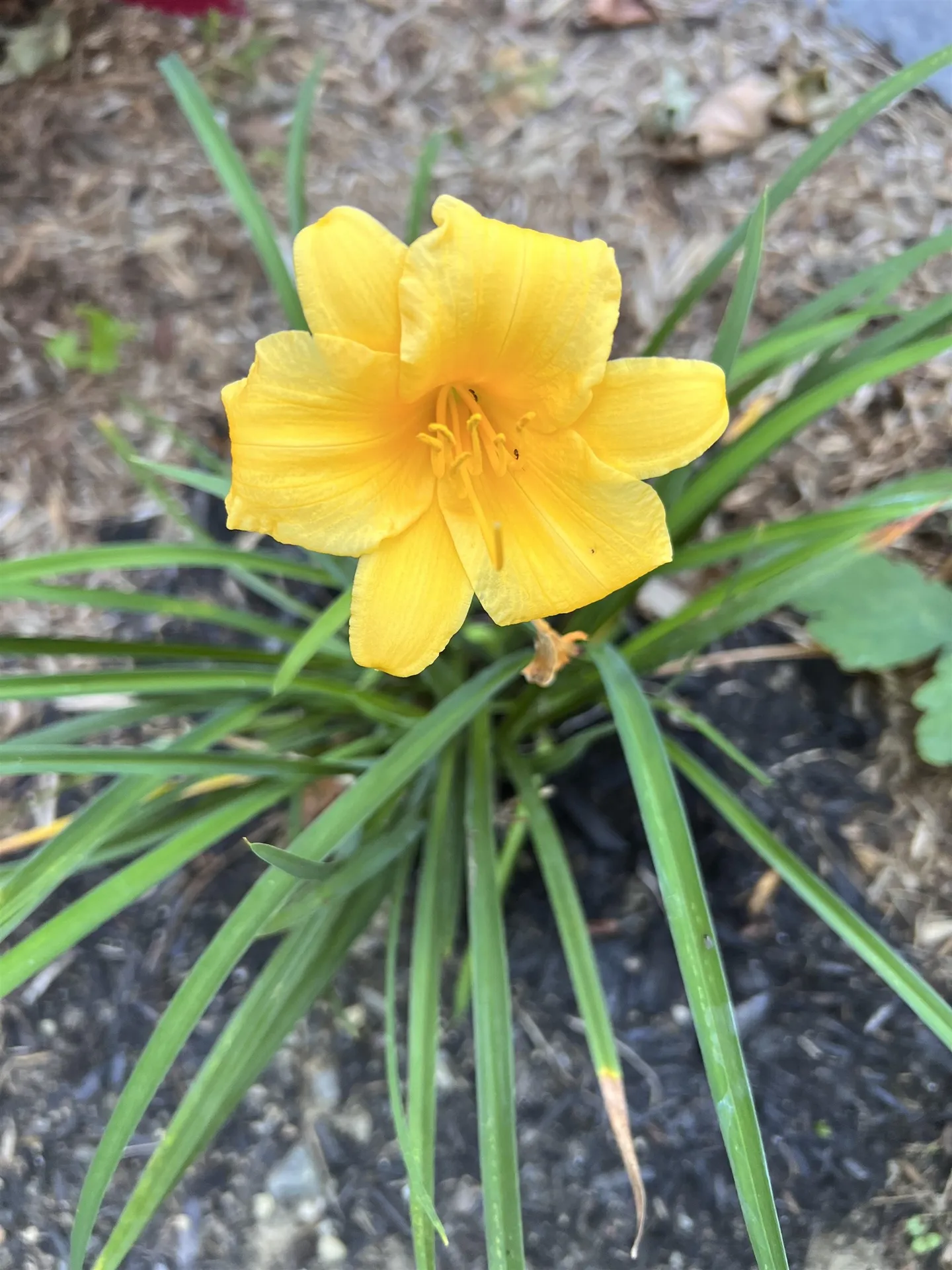 108 Chestnut Street Brattleboro VT 05301