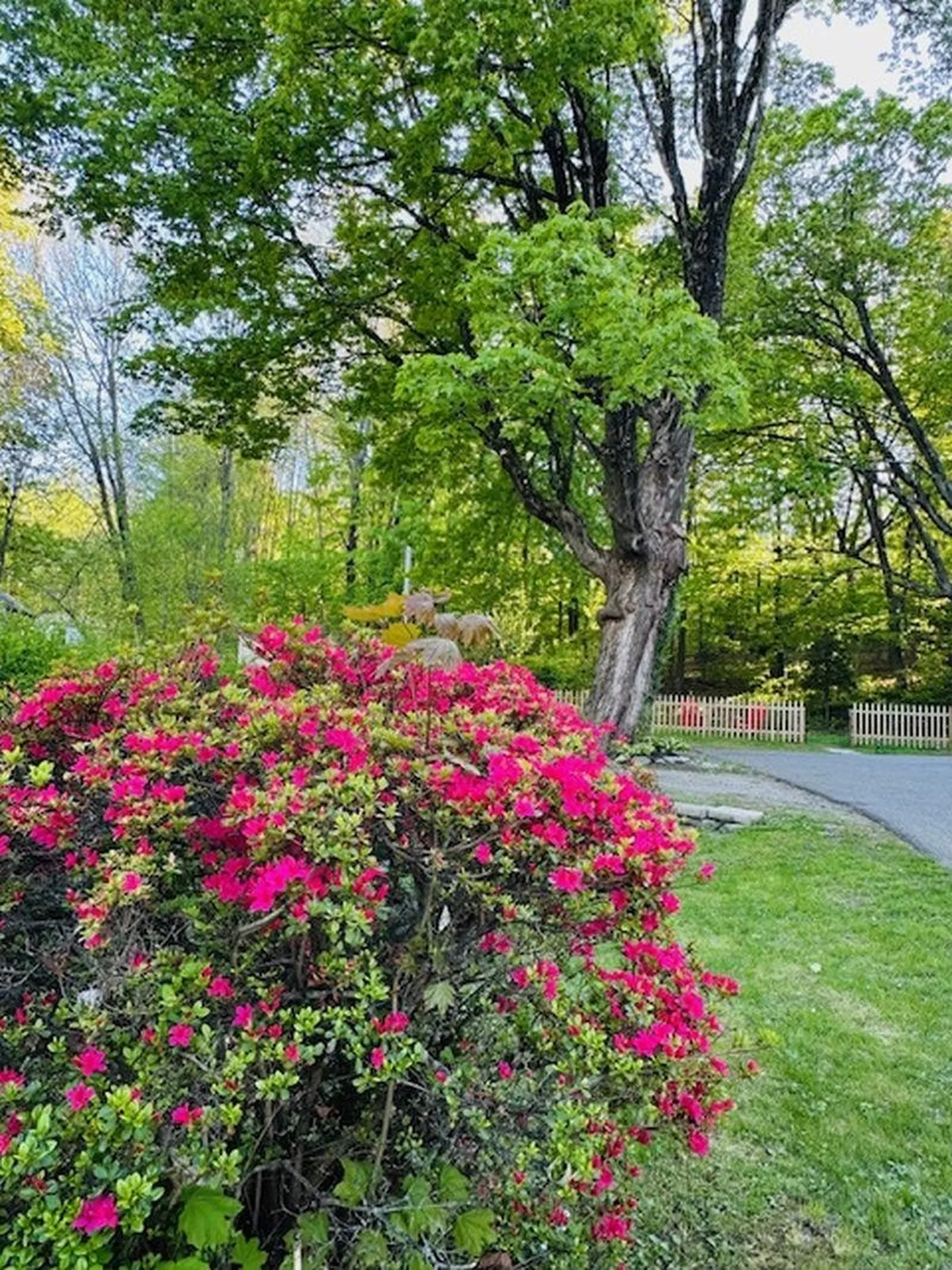 108 Chestnut Street Brattleboro VT 05301