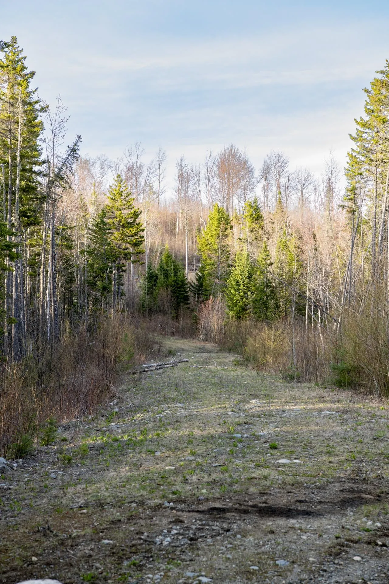 460 Milan Hill Road Milan NH 08588