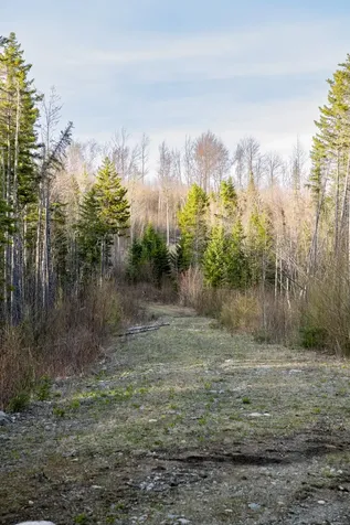 460 Milan Hill Road Milan NH 08588