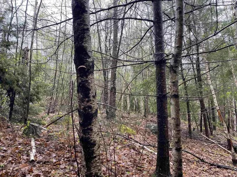 Catamount Road Pittsfield NH 03263
