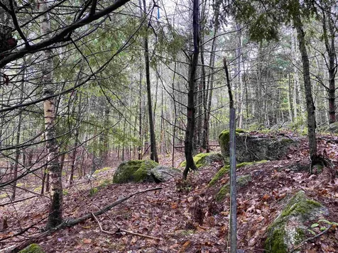 Catamount Road Pittsfield NH 03263