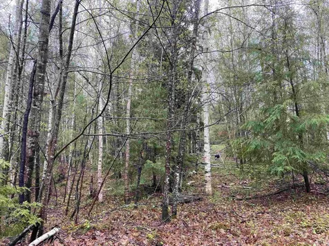 Catamount Road Pittsfield NH 03263