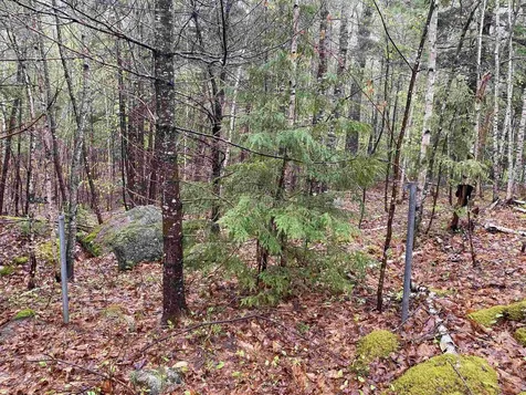 Catamount Road Pittsfield NH 03263