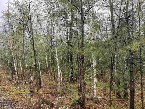 Catamount Road Pittsfield NH 03263