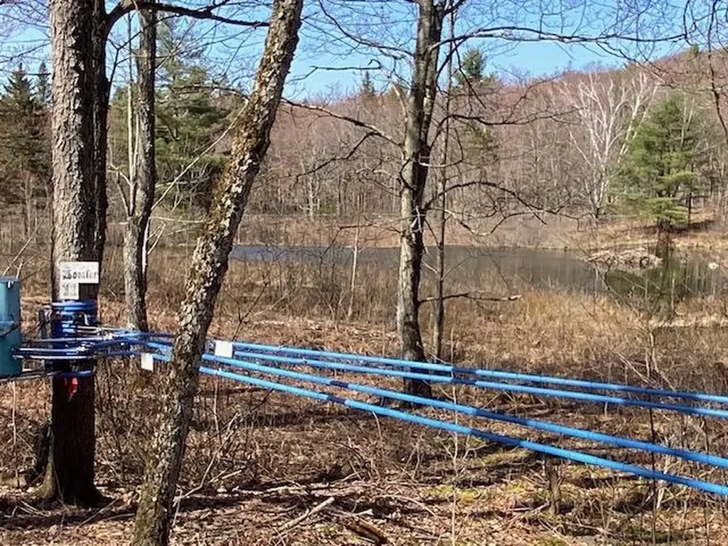 22 Rubaud Road Westford VT 05494