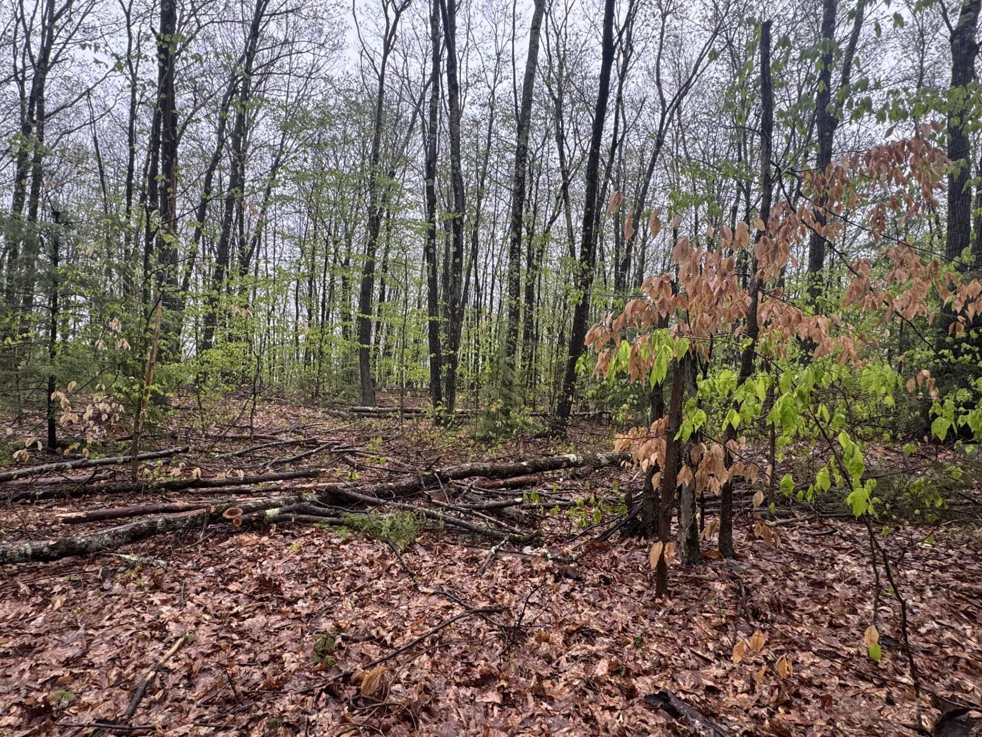 0 Old Walpole/valley View Road Keene NH 03431