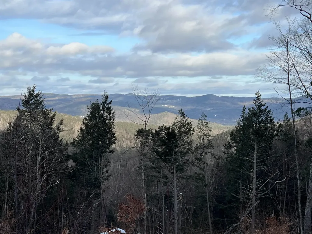 Vt Route 100 South Jamaica VT 05343