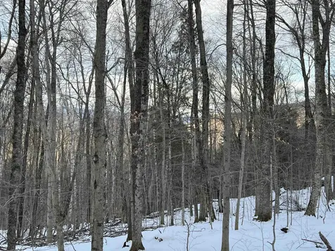 Vt Route 100 South Jamaica VT 05343