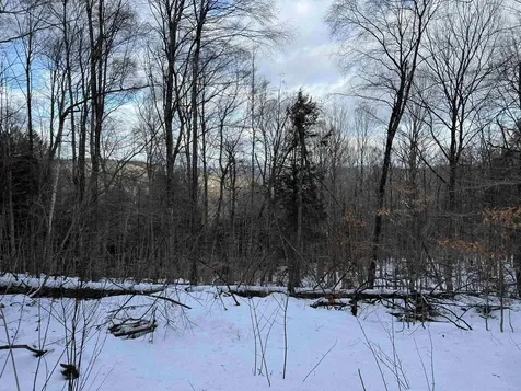 Vt Route 100 South Jamaica VT 05343