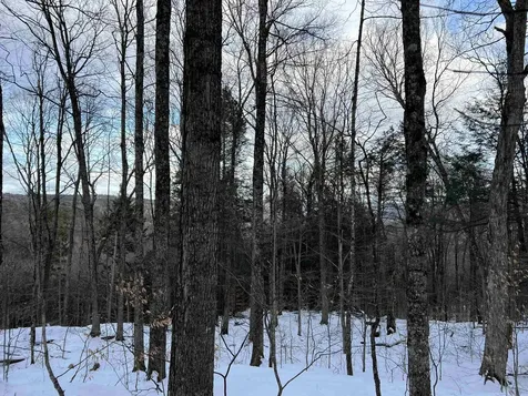 Vt Route 100 South Jamaica VT 05343