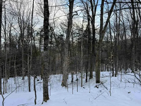 Vt Route 100 South Jamaica VT 05343