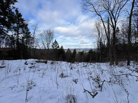 Vt Route 100 South Jamaica VT 05343