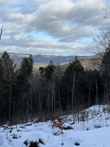 Vt Route 100 South Jamaica VT 05343