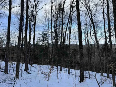 Vt Route 100 South Jamaica VT 05343