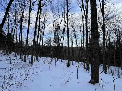 Vt Route 100 South Jamaica VT 05343