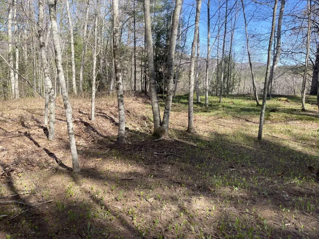 20 Lookaway Lane Wentworth NH 03282