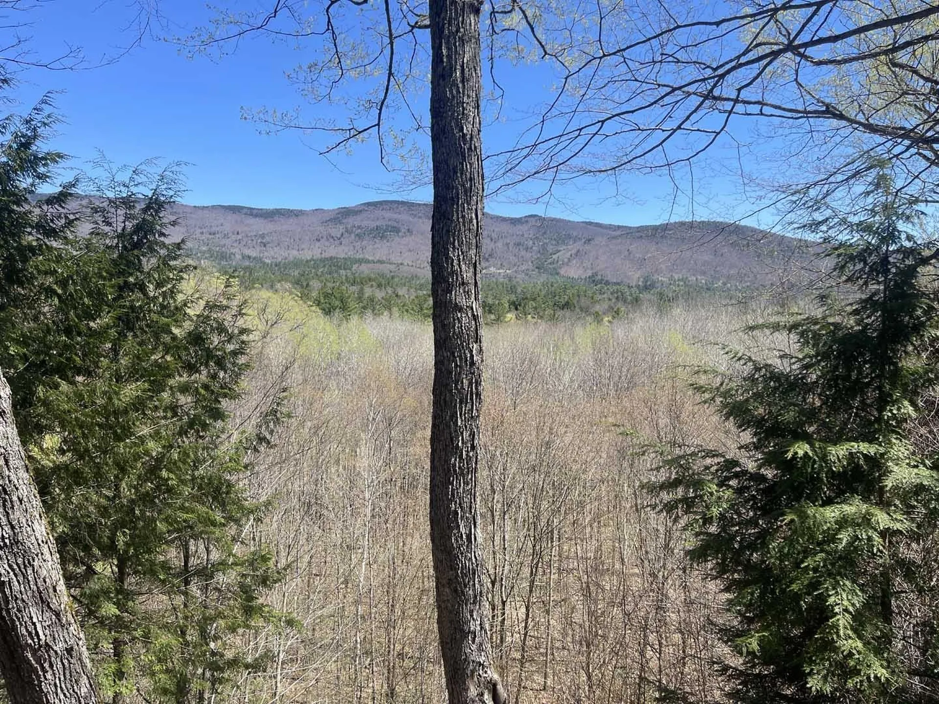 20 Lookaway Lane Wentworth NH 03282