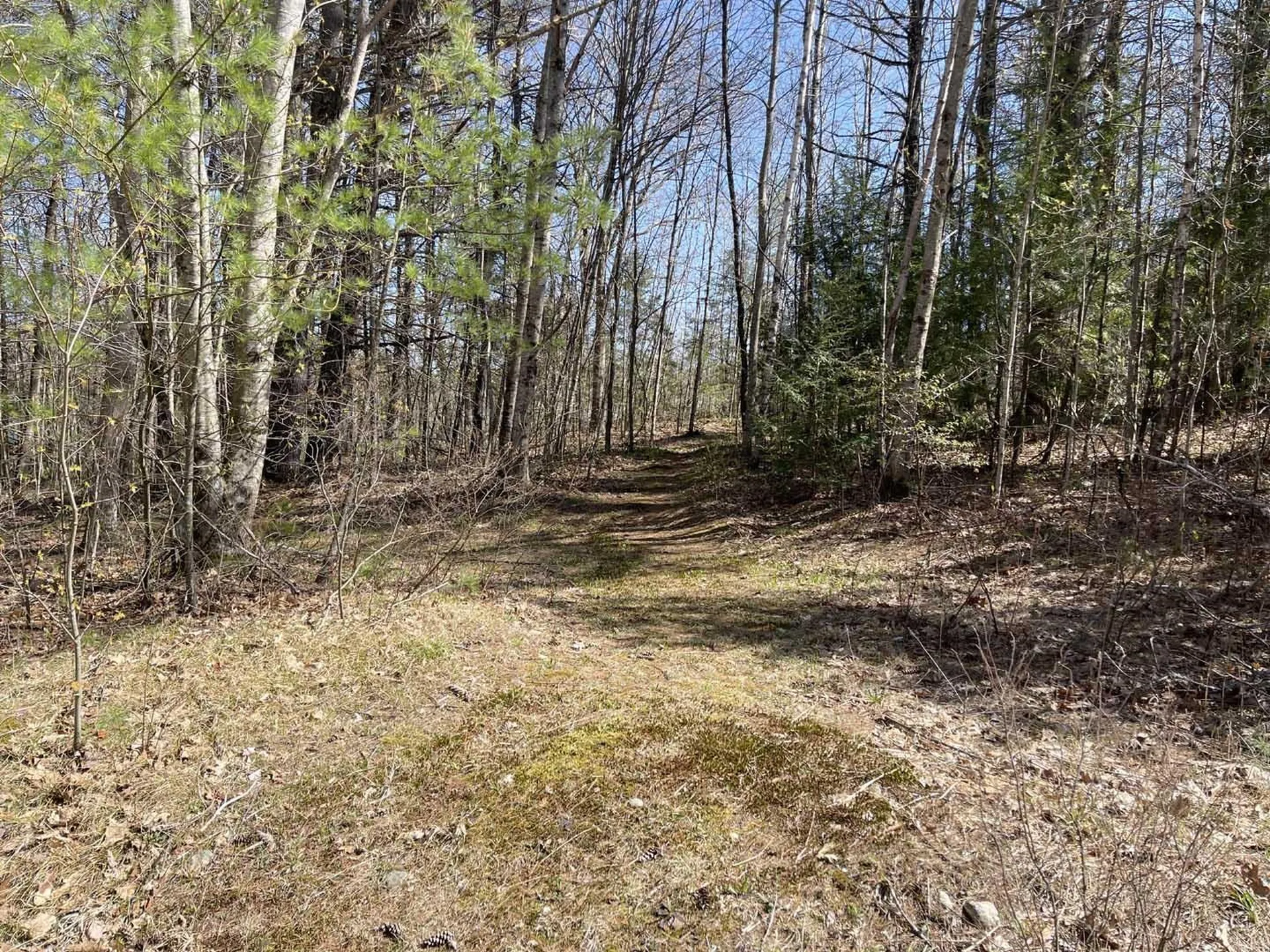 20 Lookaway Lane Wentworth NH 03282