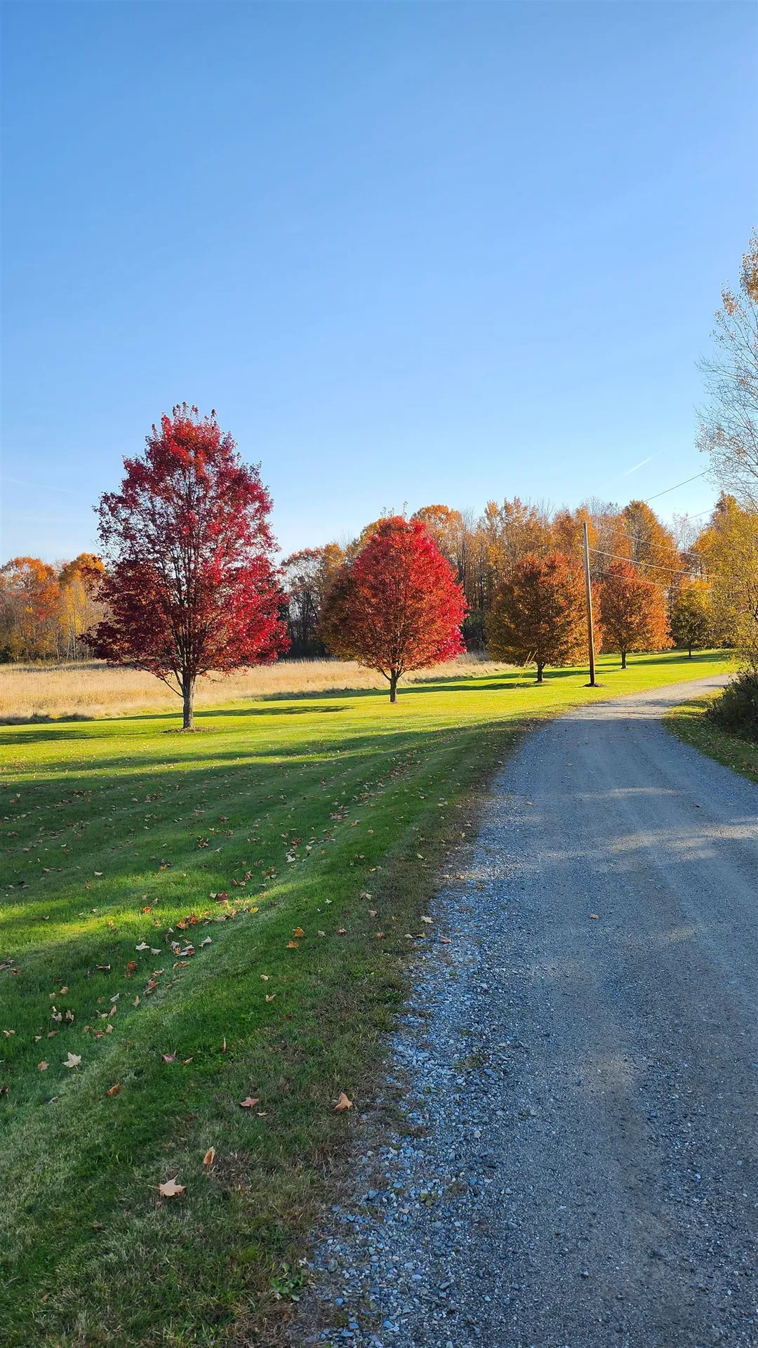 4647 Lake Road Newport Town VT 05857