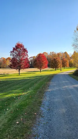 4647 Lake Road Newport Town VT 05857