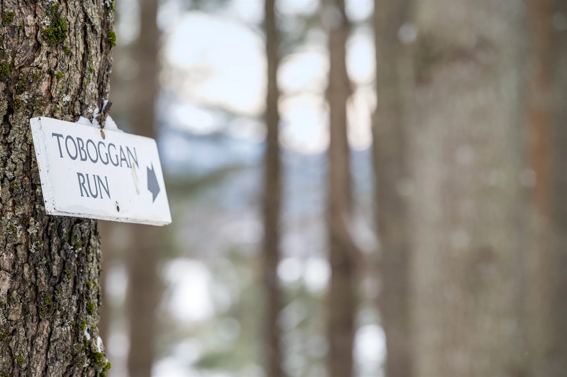 89 Houston Farm Road Stowe VT 05672