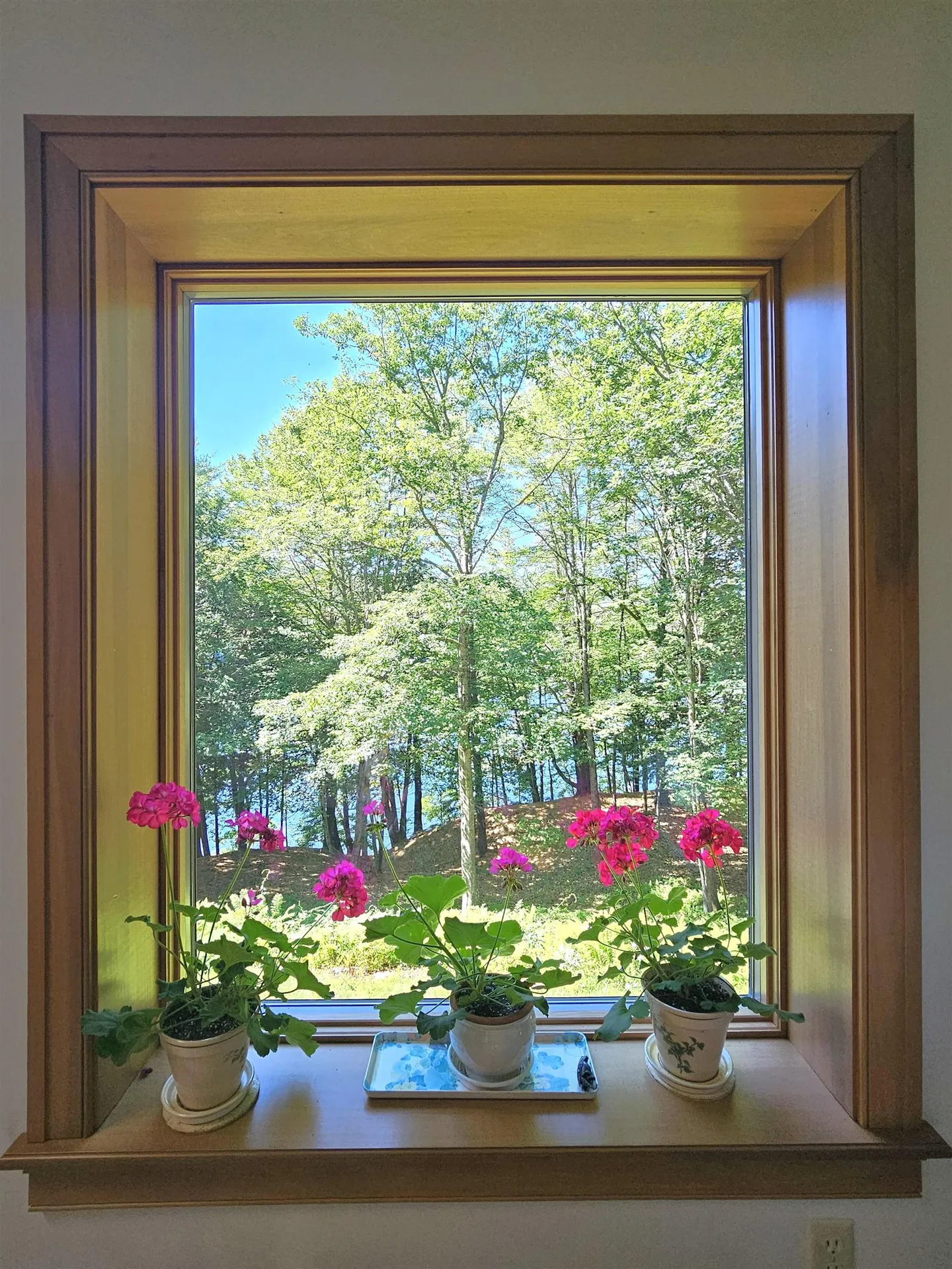 2110 Summer Street Bristol NH 03222