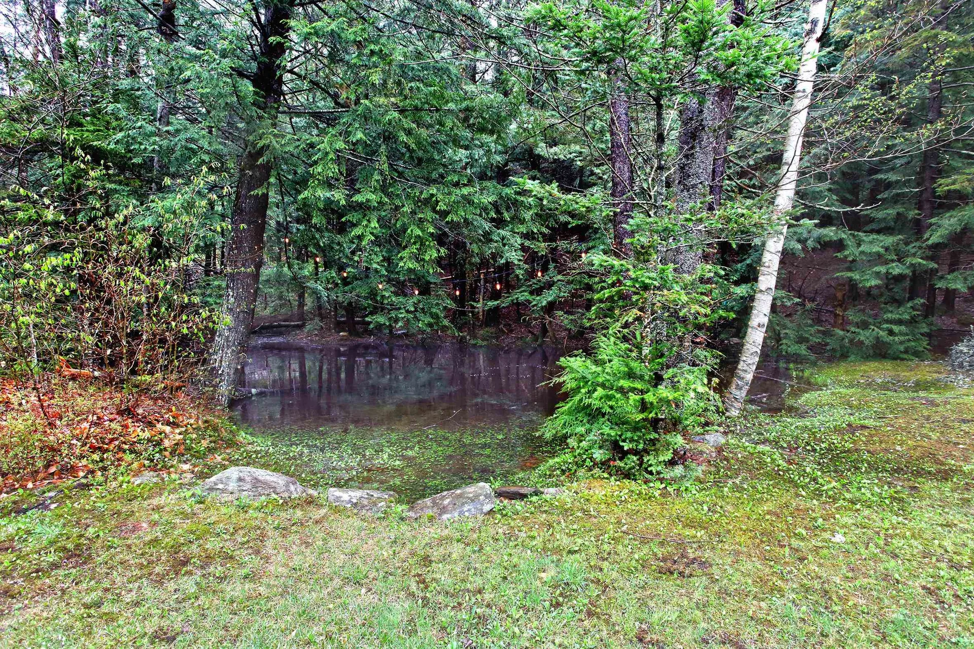 886 Brook Road Halifax VT 05358