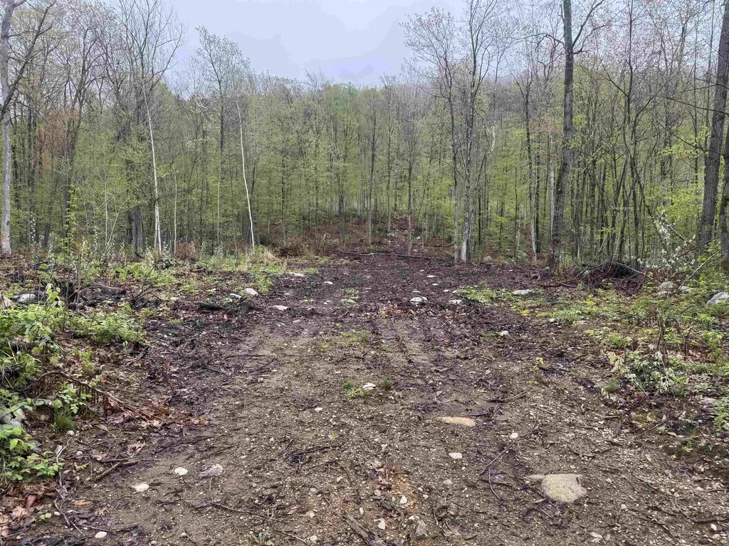 0 Upper Plains Road Salisbury VT 05769