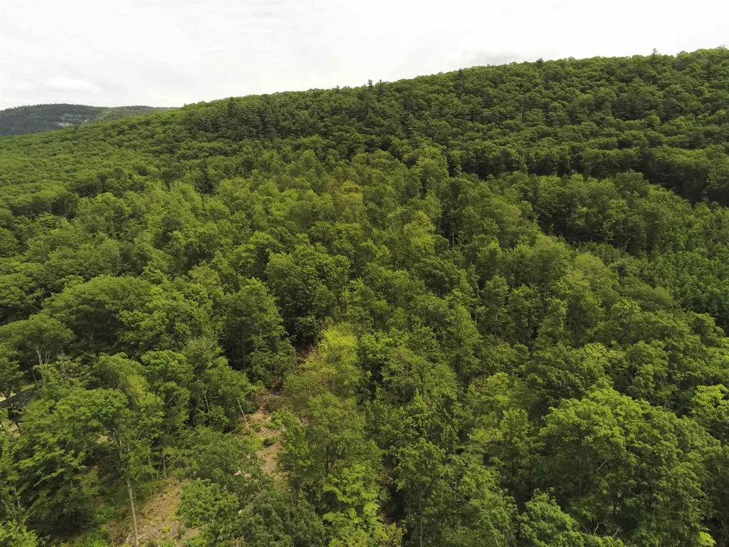 0 Upper Plains Road Salisbury VT 05769