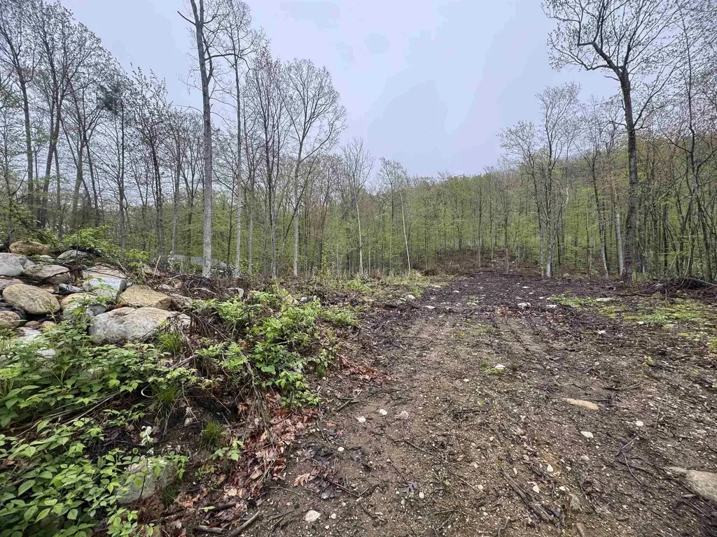 0 Upper Plains Road Salisbury VT 05769