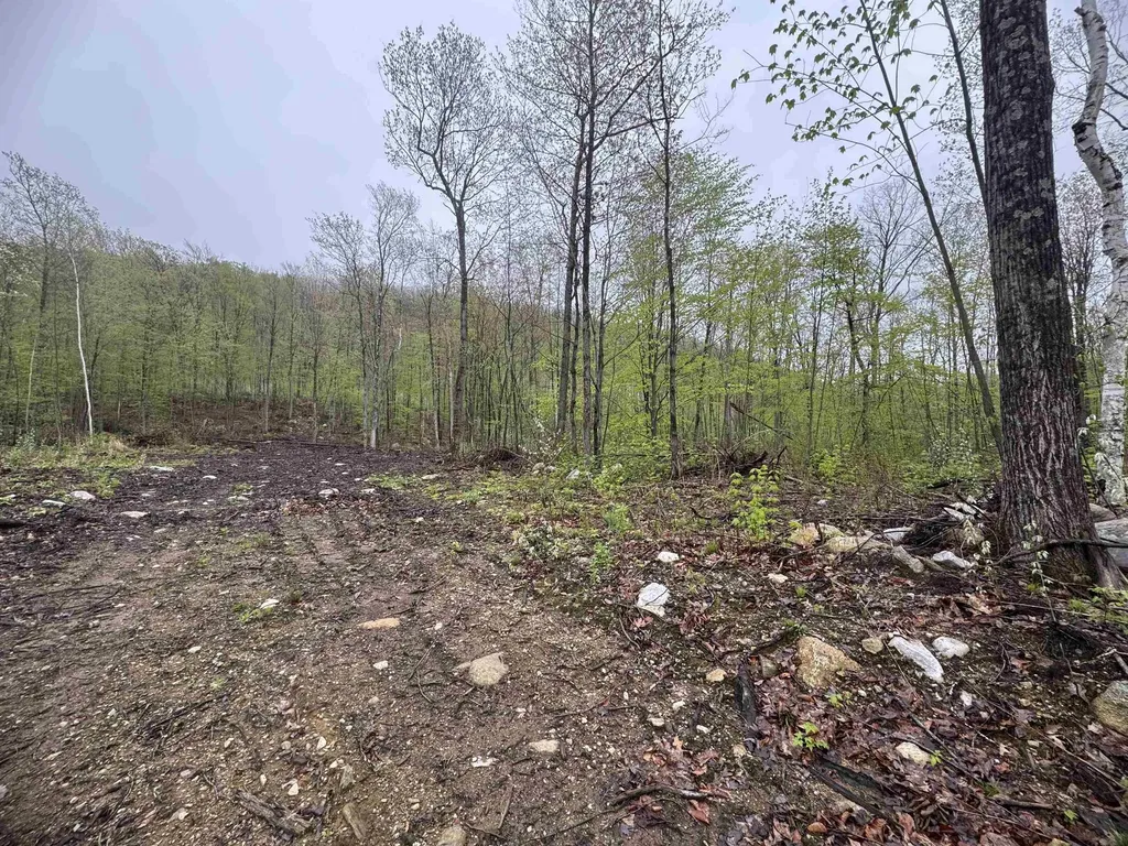 0 Upper Plains Road Salisbury VT 05769