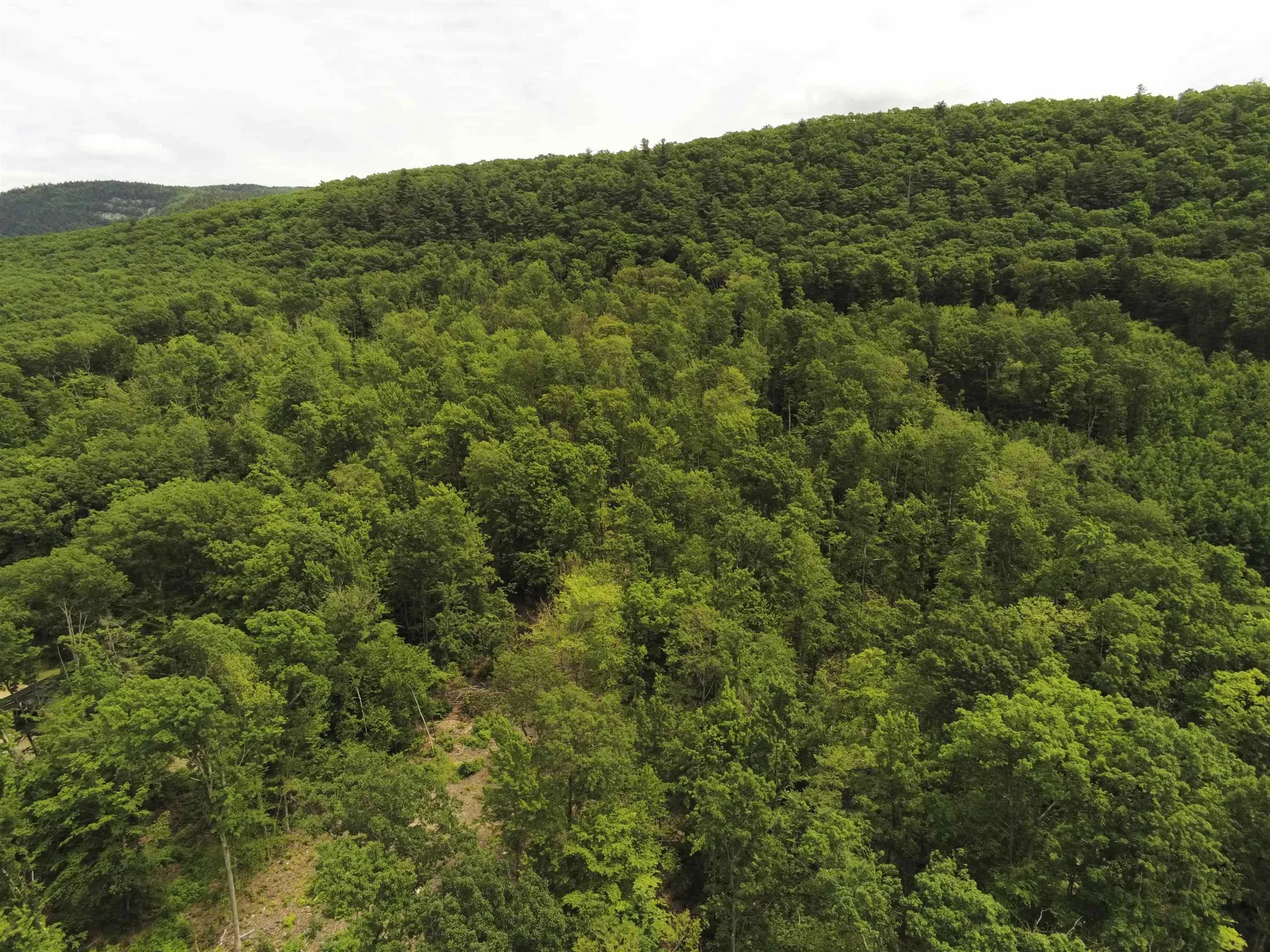 0 Upper Plains Road Salisbury VT 05769