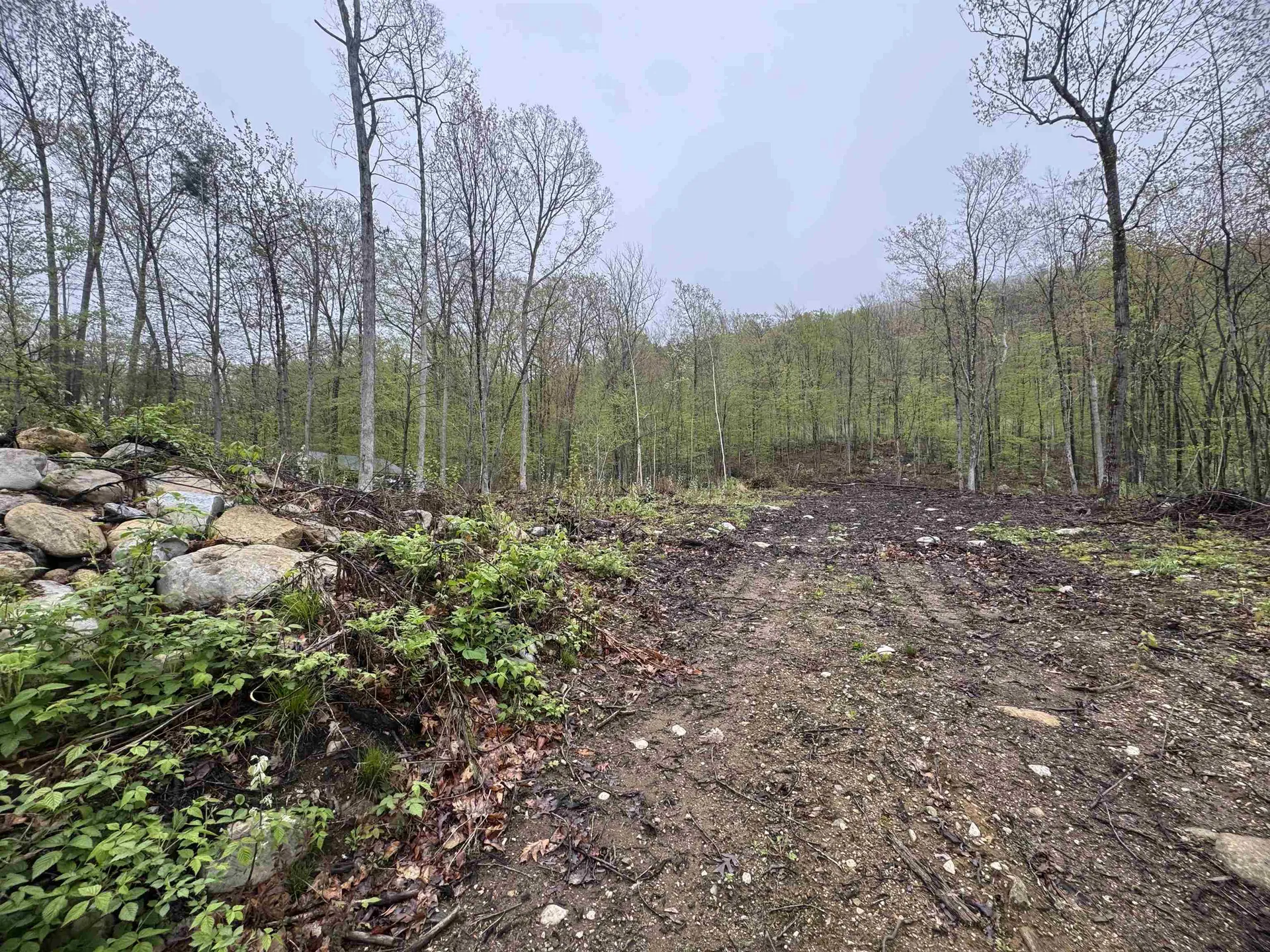 0 Upper Plains Road Salisbury VT 05769