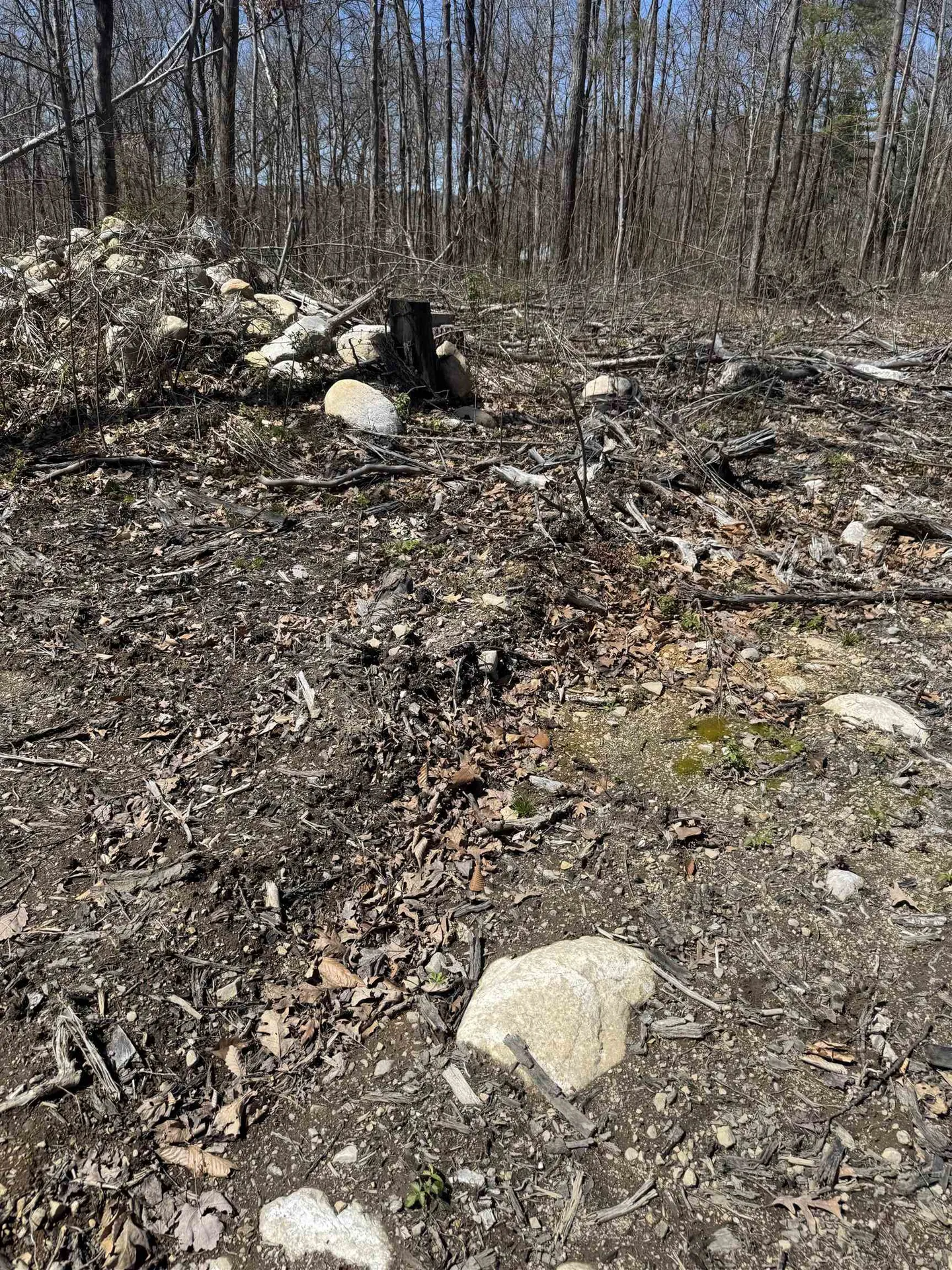 0 Upper Plains Road Salisbury VT 05769