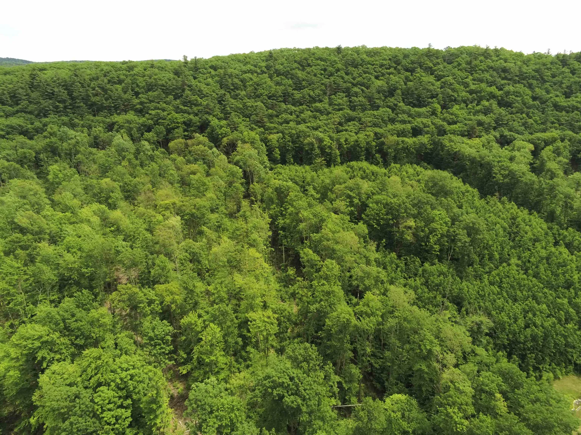 0 Upper Plains Road Salisbury VT 05769