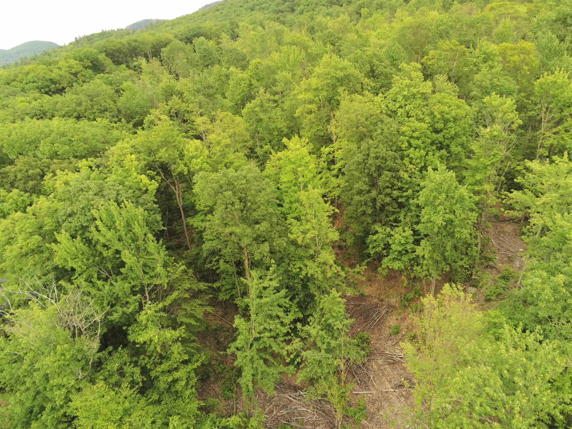 0 Upper Plains Road Salisbury VT 05769