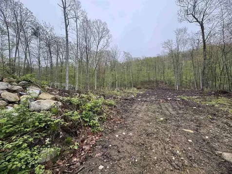 0 Upper Plains Road Salisbury VT 05769