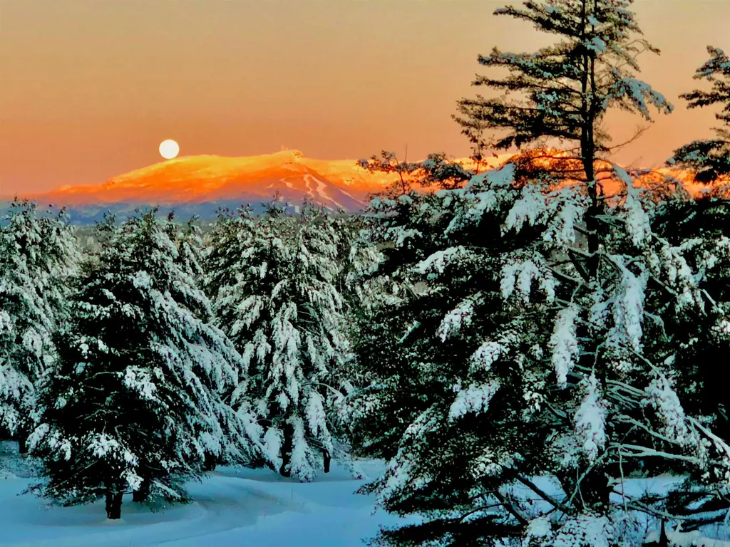 103 Foxfire Lane Stowe VT 05672