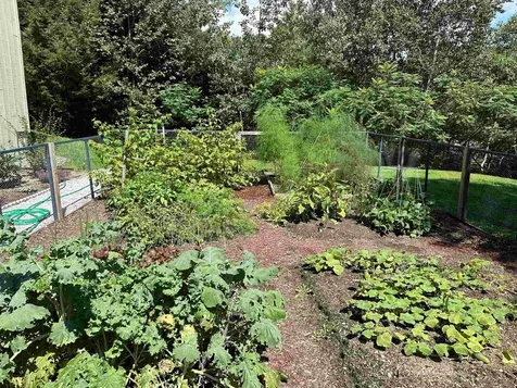 336 Locust Street Hartford VT 05088