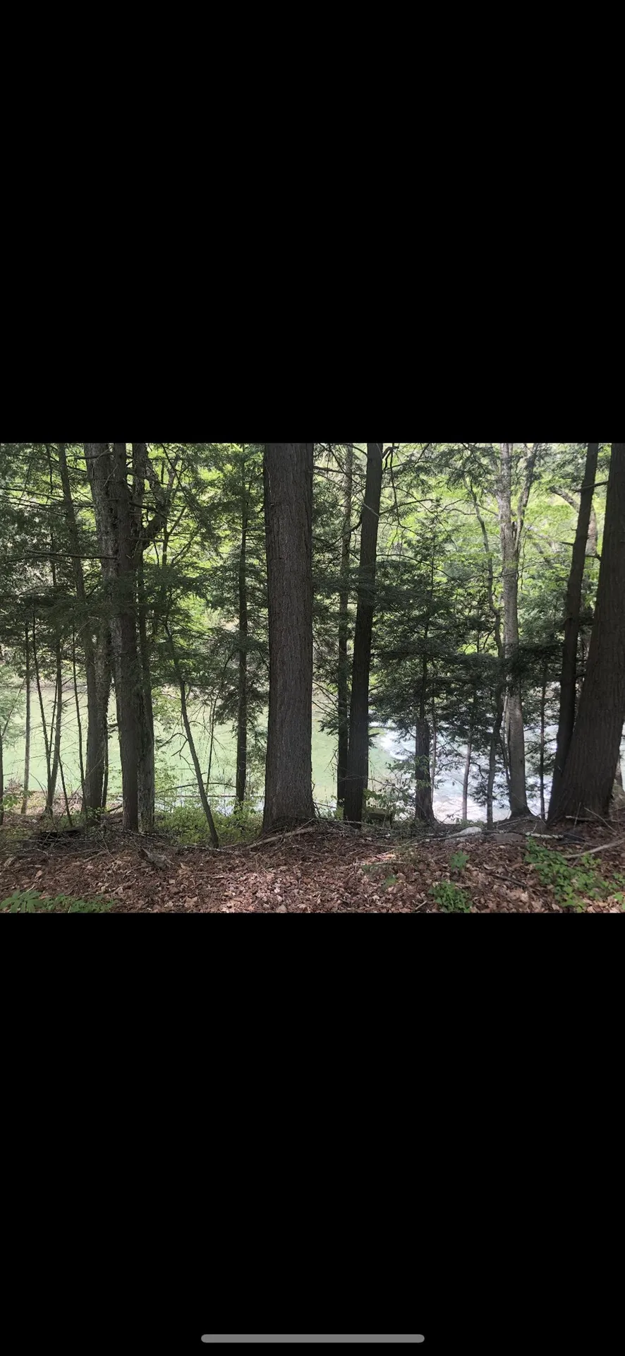 2903 Vt Route 107 Stockbridge VT 05772