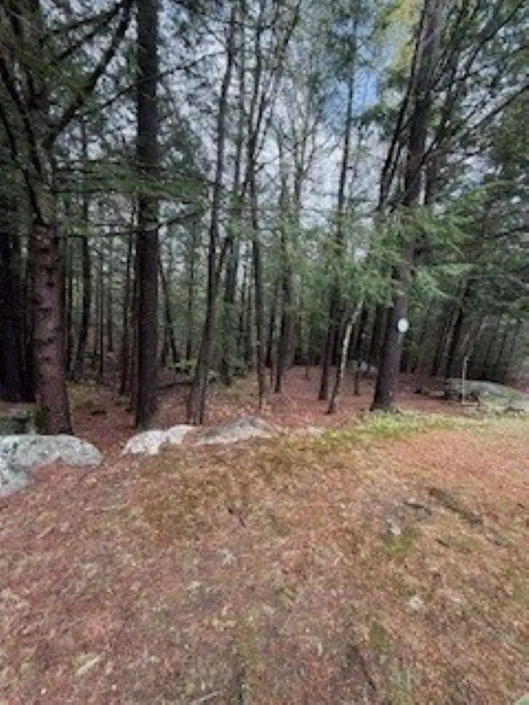 20 Harvey Brook Road Wolfeboro NH 03894