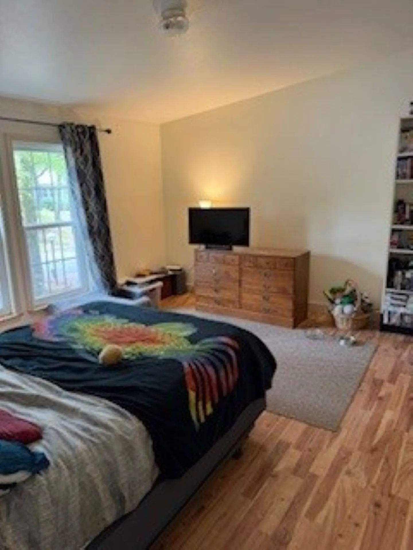 20 Harvey Brook Road Wolfeboro NH 03894