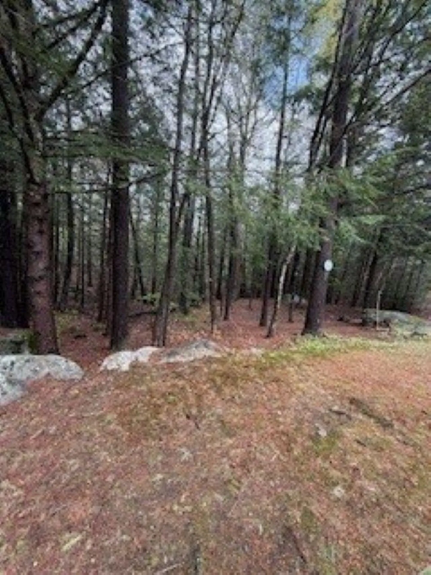 20 Harvey Brook Road Wolfeboro NH 03894