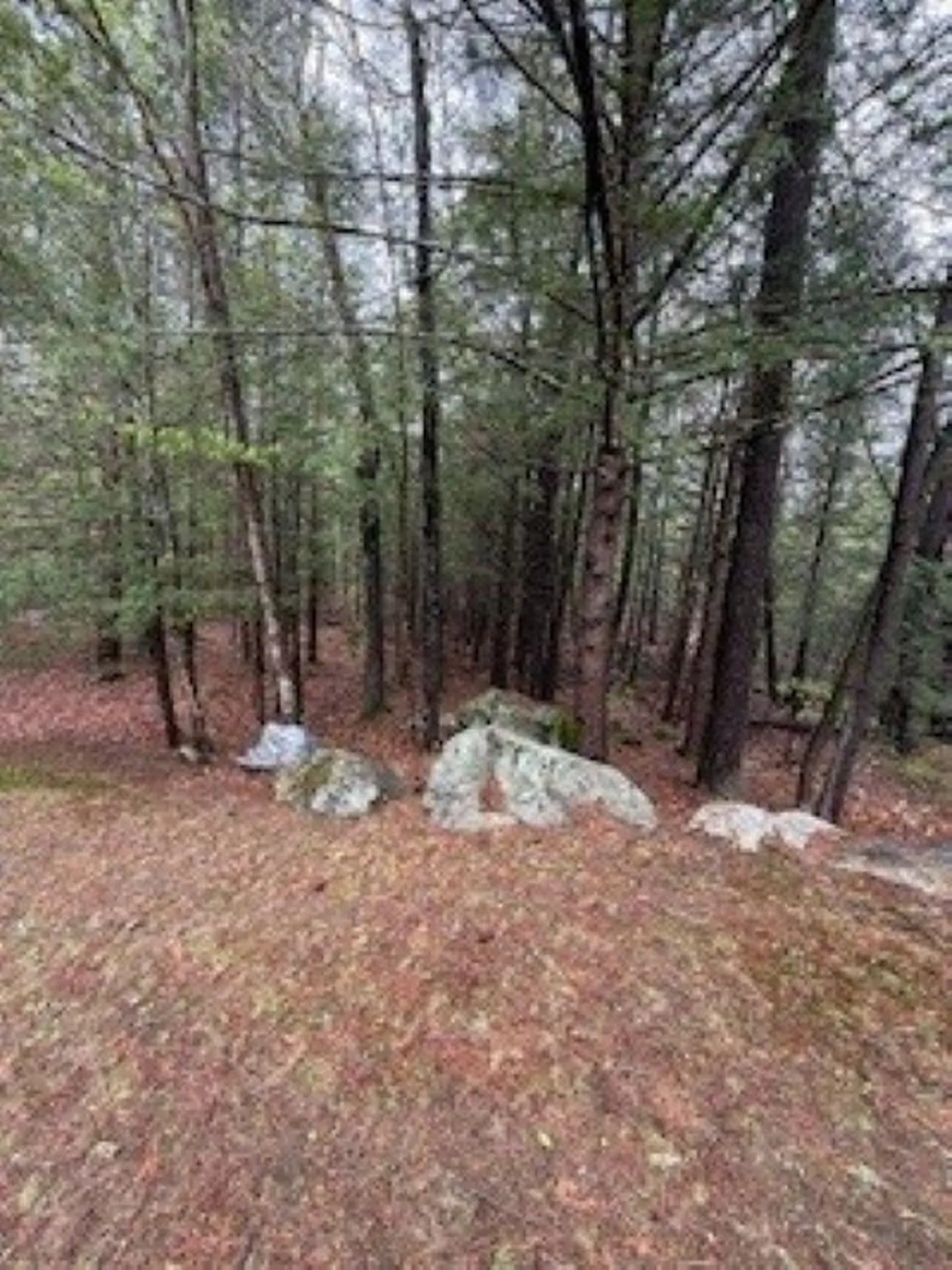 20 Harvey Brook Road Wolfeboro NH 03894