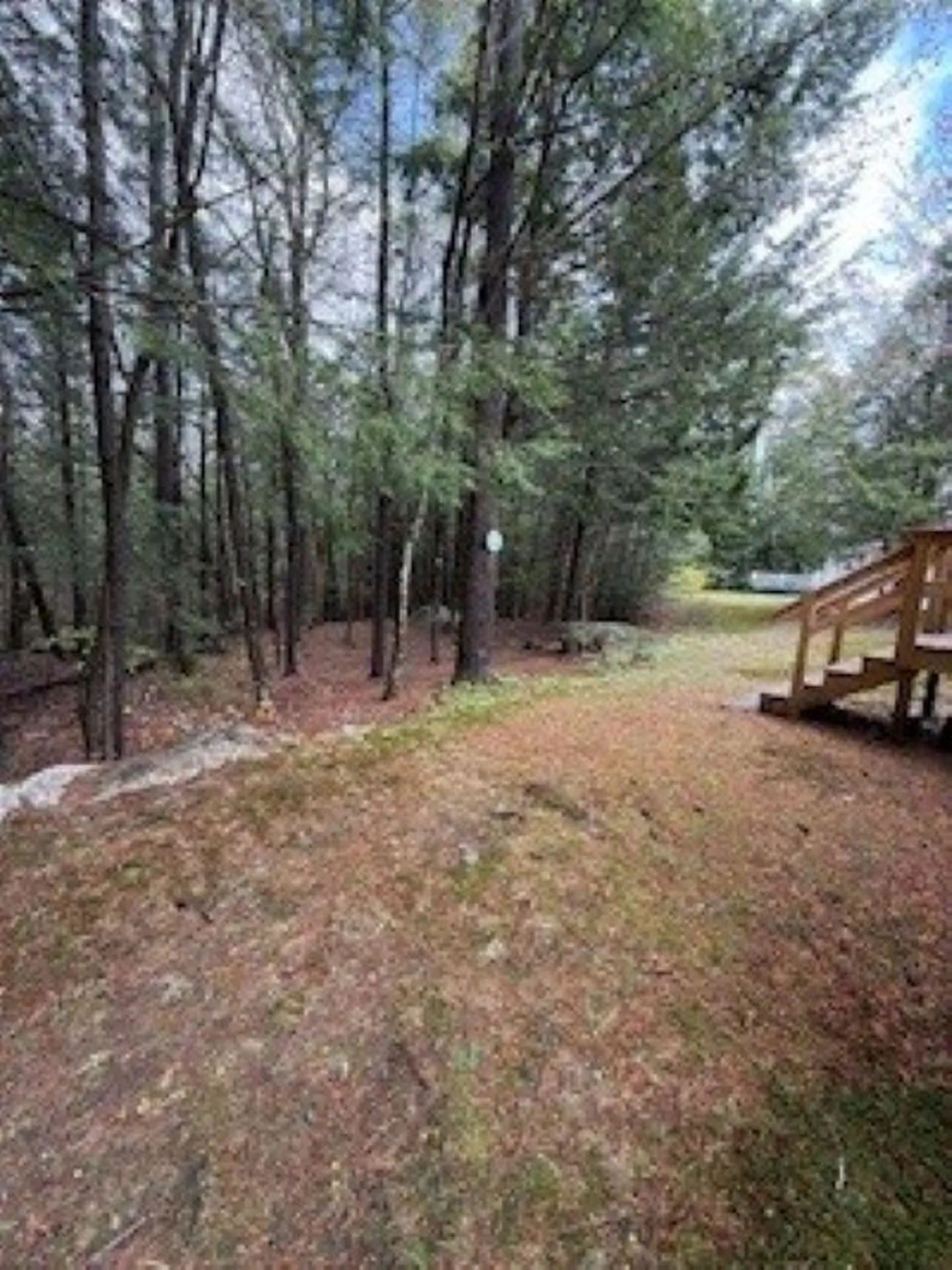20 Harvey Brook Road Wolfeboro NH 03894