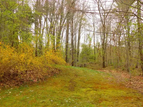 218 Deboer Lane Wakefield NH 03872