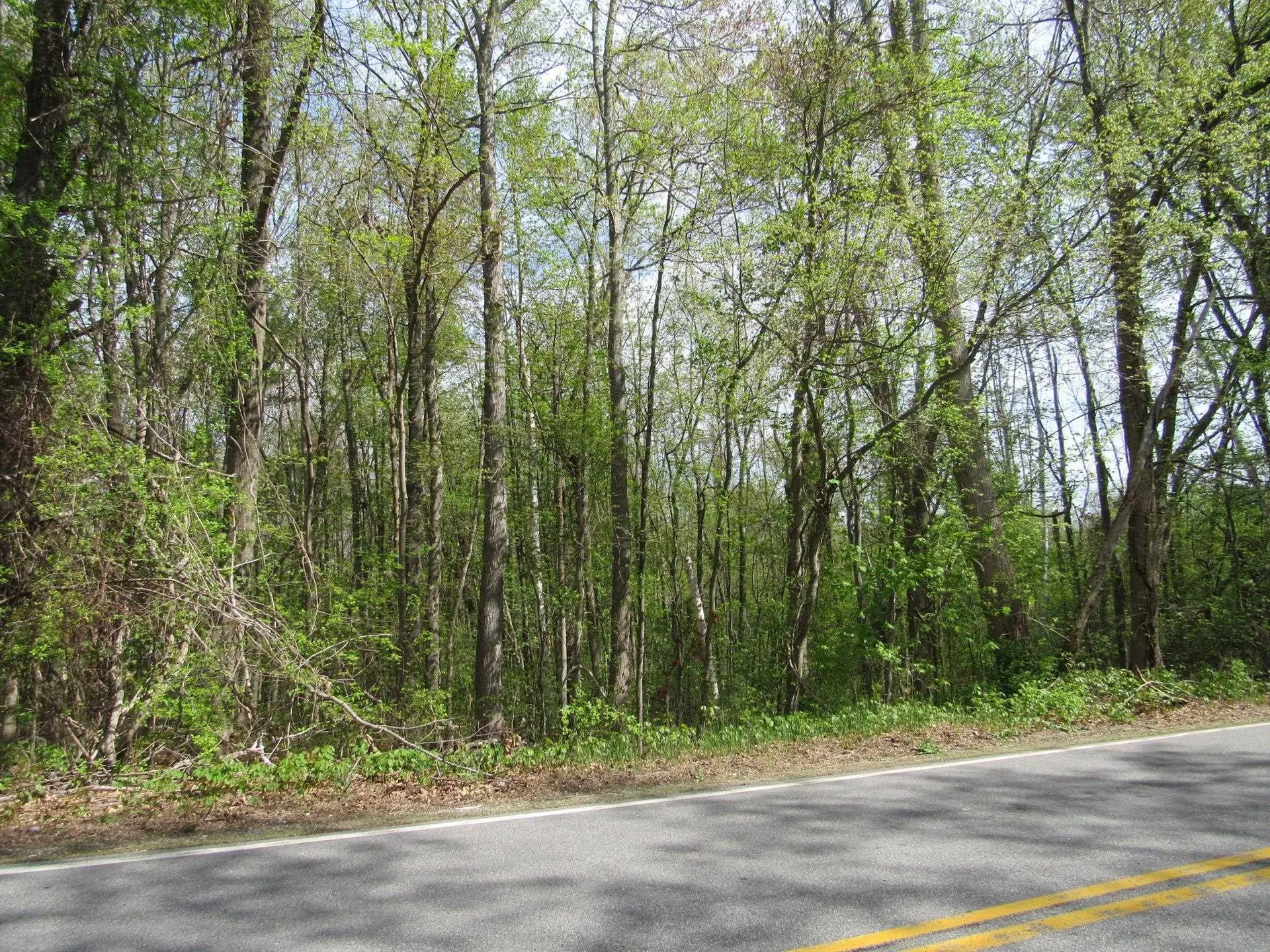 45 Dutton Road Pelham NH 03076