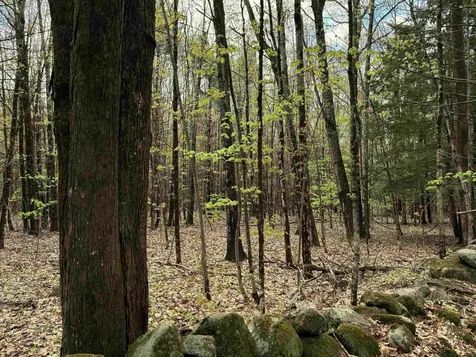 000 Kearsarge Mount Road Warner NH 03278