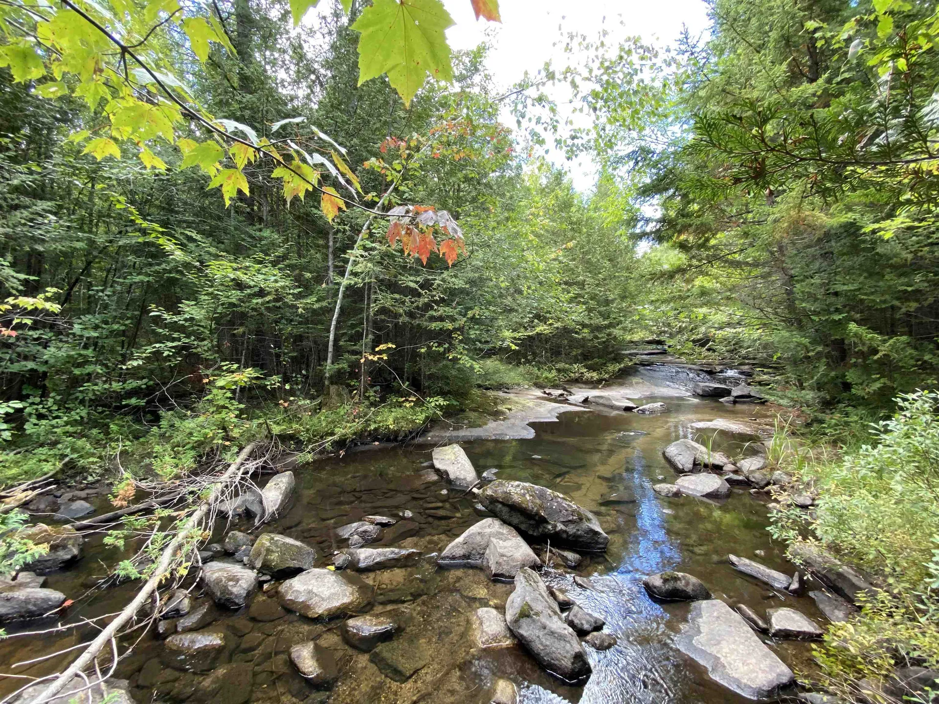 1798 Powder Spring Road Groton VT 05046